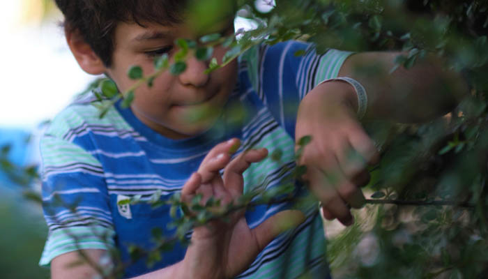 Adorable,Child,With,A,Mischievous,Smile,Exploring,The,Foliage,As